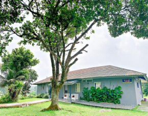 Rumah Selasar Sawah